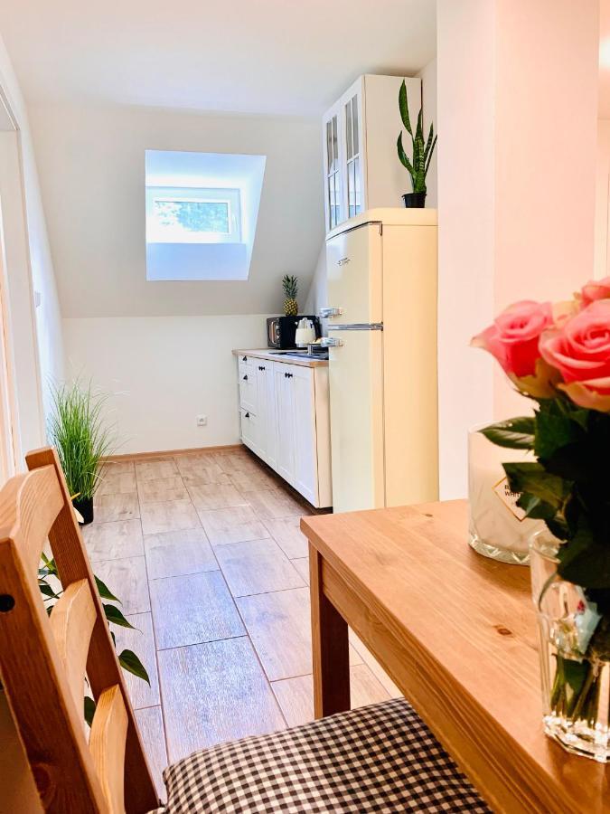 Apartmany Jetrichovice - Ceske Svycarsko Dış mekan fotoğraf